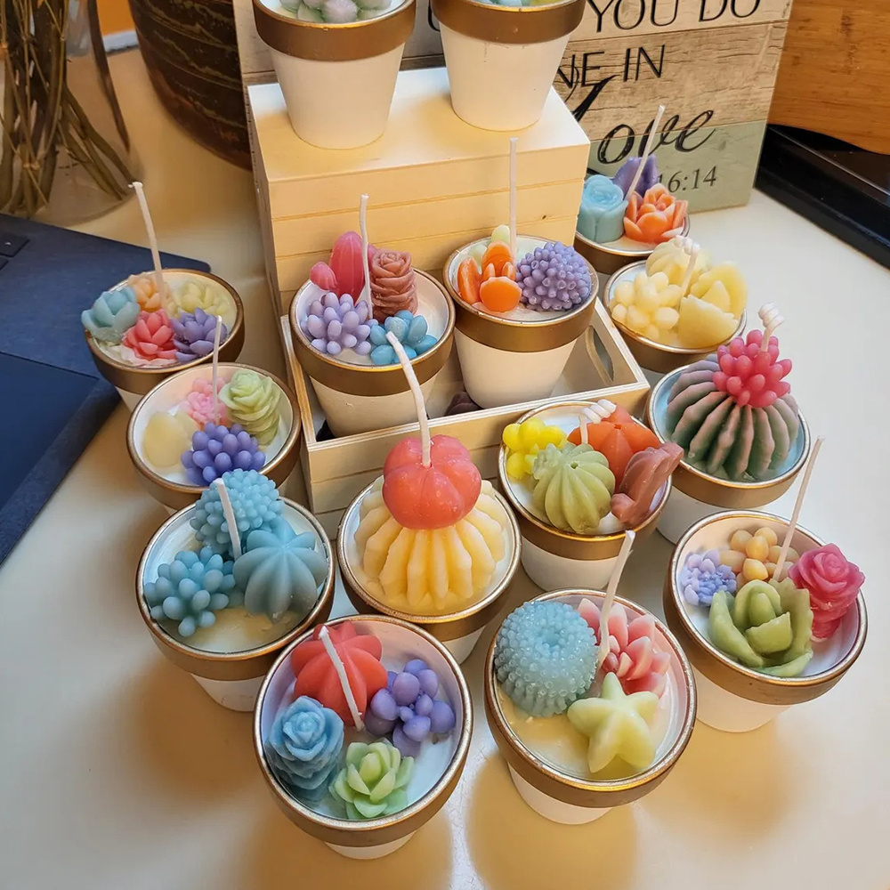 6 stks Succulente Siliconen Ka - Candle Making Video recensie en prijs